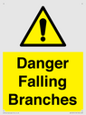 danger-falling-branches~